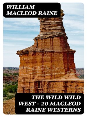cover image of The Wild Wild West--20  MacLeod Raine Westerns